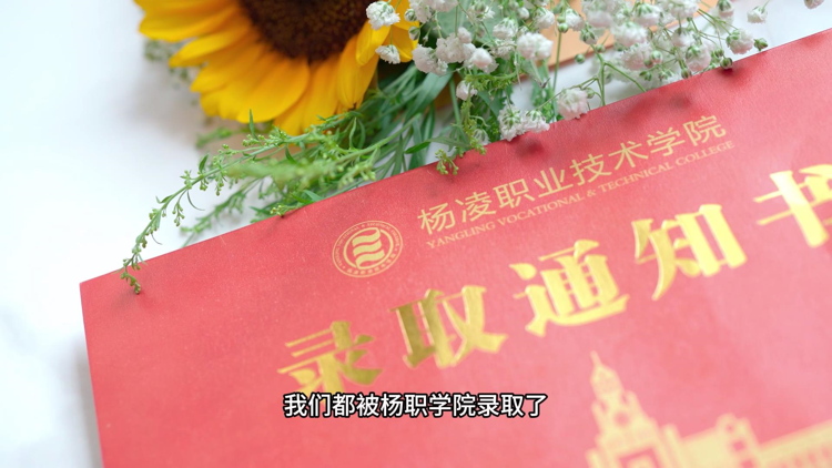 㮅I|ψŬһAͨ^2024пԇɹϰ