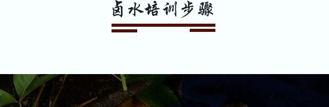 uˮgӖ,СӖ,Wuˮ,uˮӖ,|uˮӖ