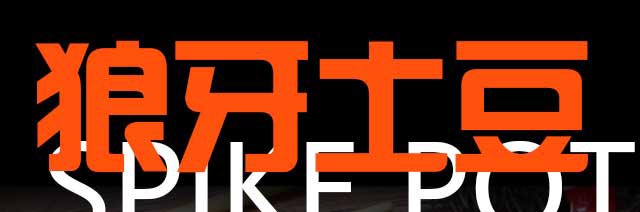 W,Ӗ,|Ӗ,g