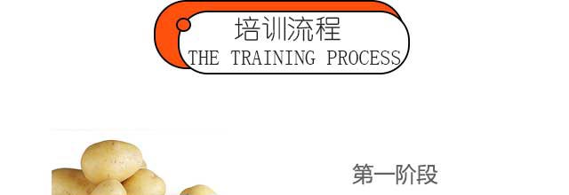 W,Ӗ,|Ӗ,g