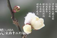ϵ24ⷬƪD˹