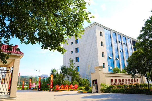 |W(xu)УW(xu)M(fi)Ƕ
