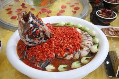 NɹI_x_@