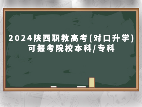 2024̸߿(W)ɈԺУ/